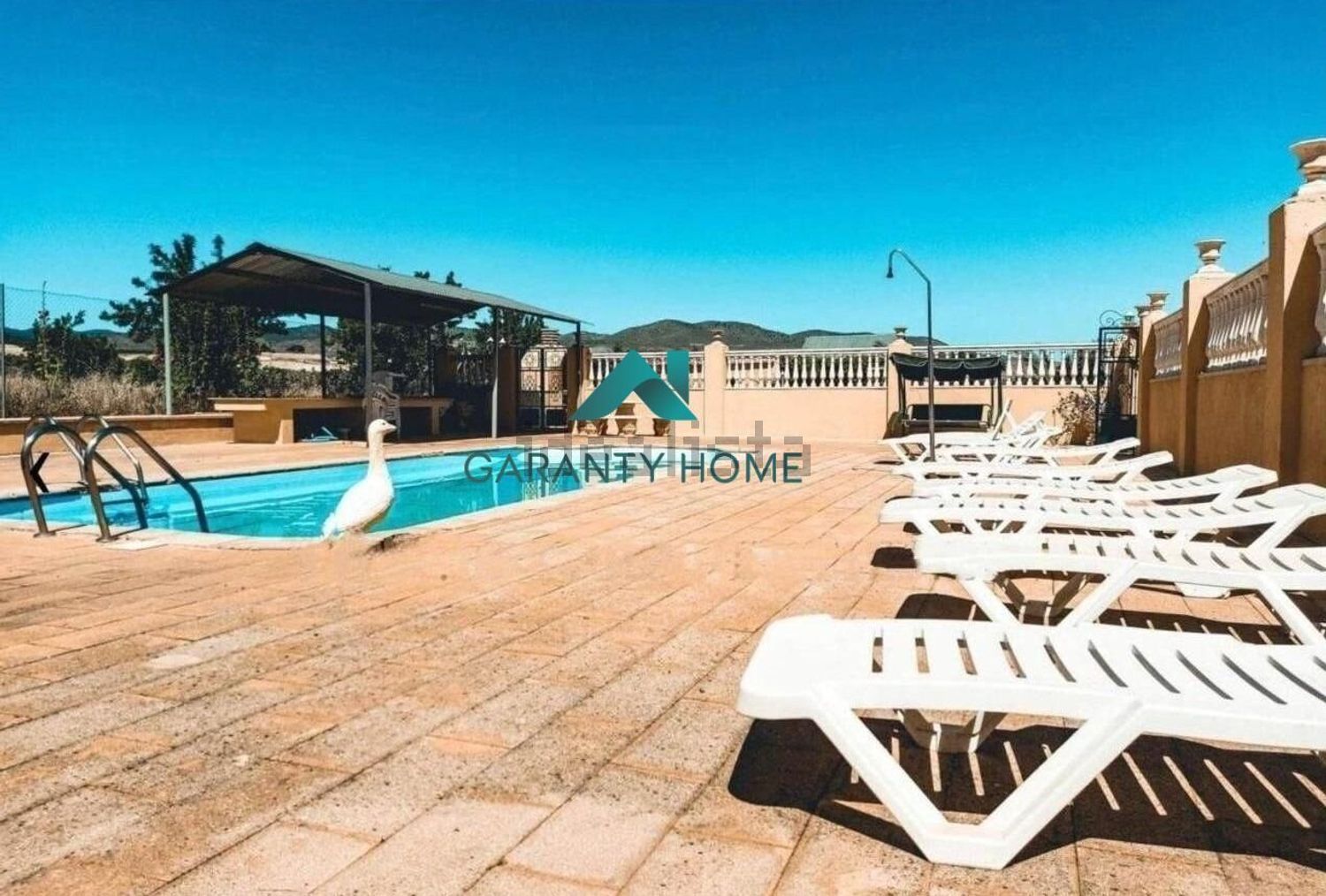 Dream Estate with Equestrian Facilities